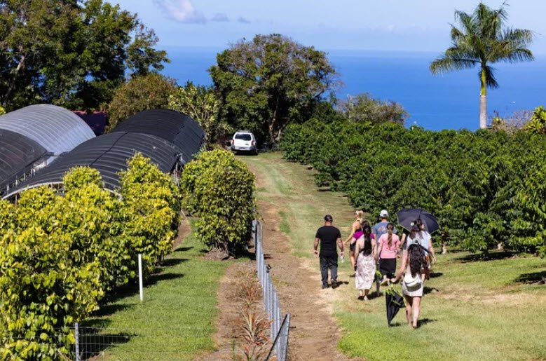 Amy Greenwell Ethnobotanical Garden, United States